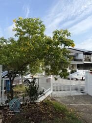 Golden Hill Estate (D19), Terrace #593667461